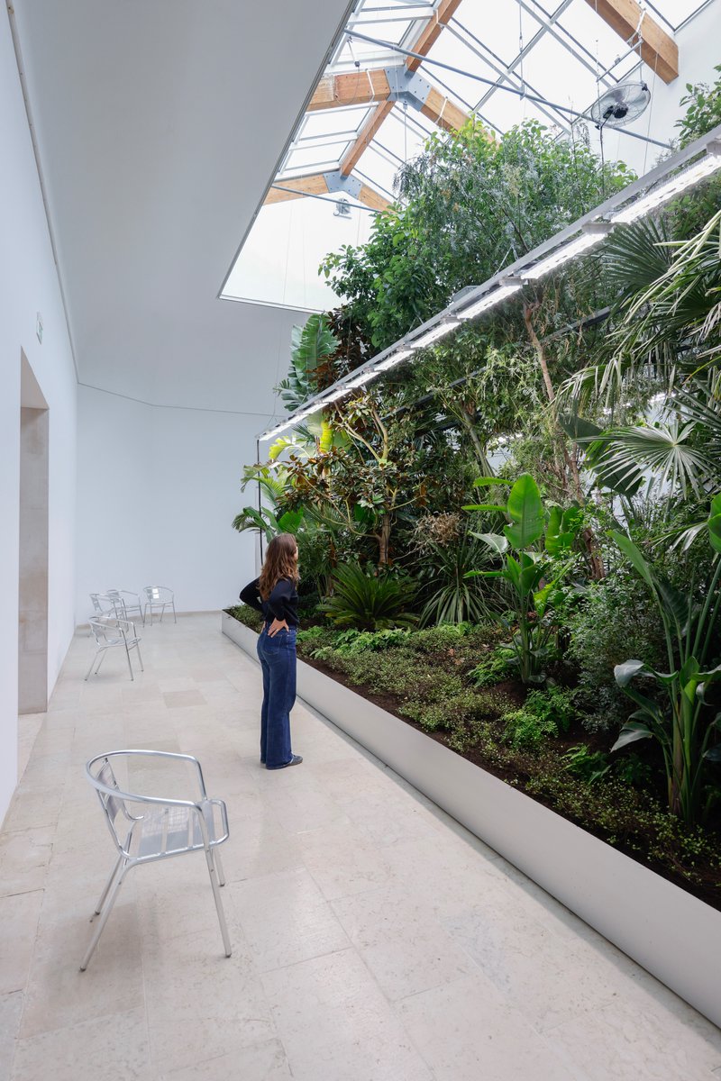 #BiennaleArchitettura2025 | Partecipazioni Nazionali
Belgio
BUILDING BIOSPHERES
Giardini

Visita #IntelliGens a #Venezia fino al 23 novembre!
🎟 → bit.ly/BiennaleArchit…