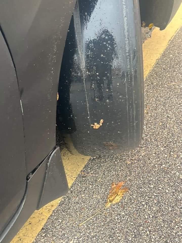 CLEAN CAR CLUB tweet media