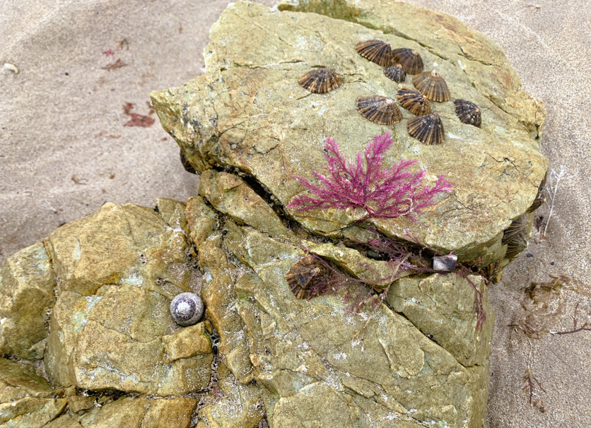 Gabriela tweet media