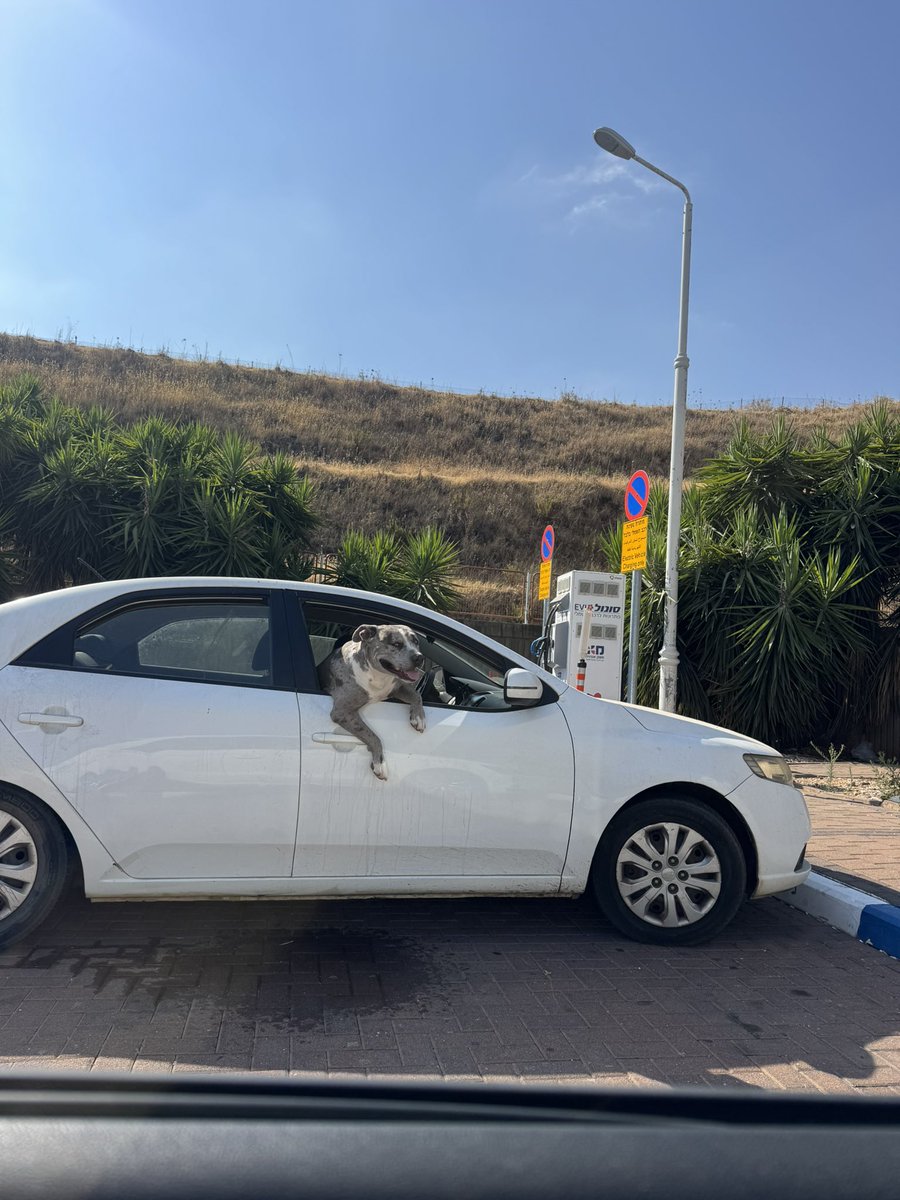 проскочим на серый?