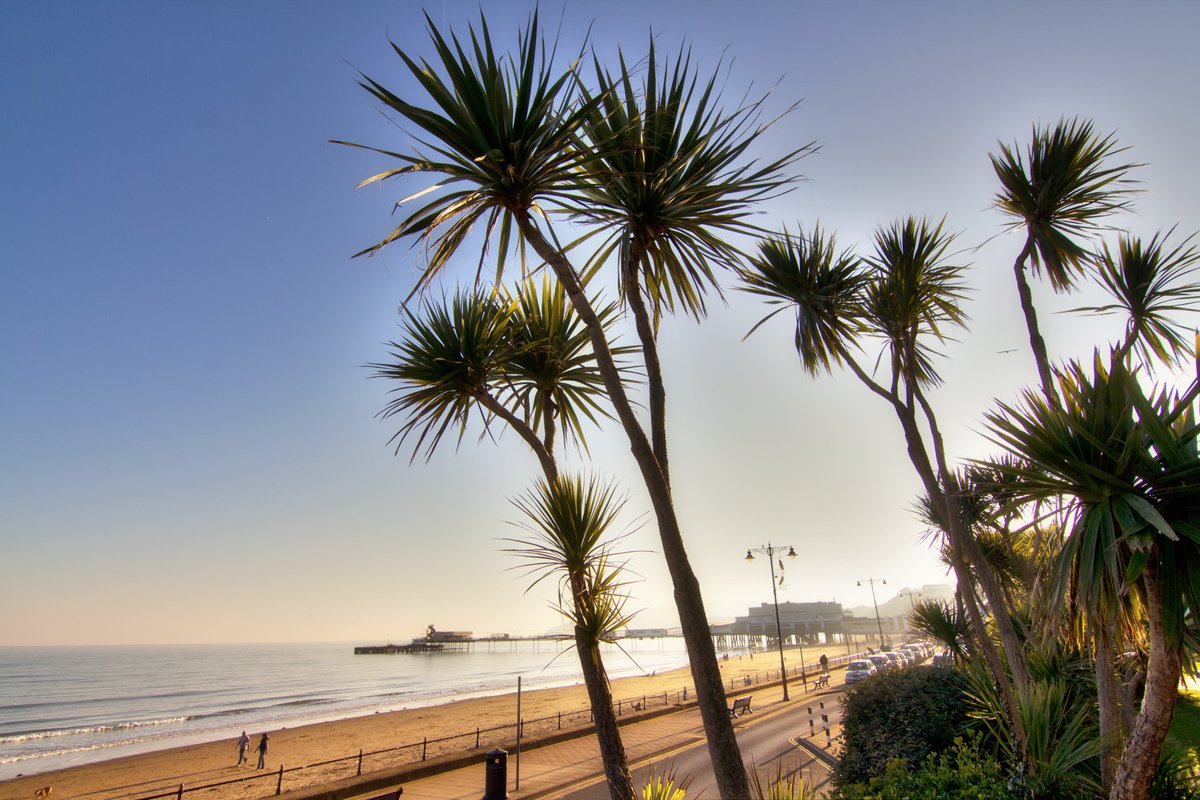 Beach, please!🏝

With temperatures hotting up, there’s no better place to be than by the coast right now - and our island delivers EVERY time.☀️

Whether you’re opting for a solo escape, making memories with the family, or exploring with friends, the Isle of Wight has something
