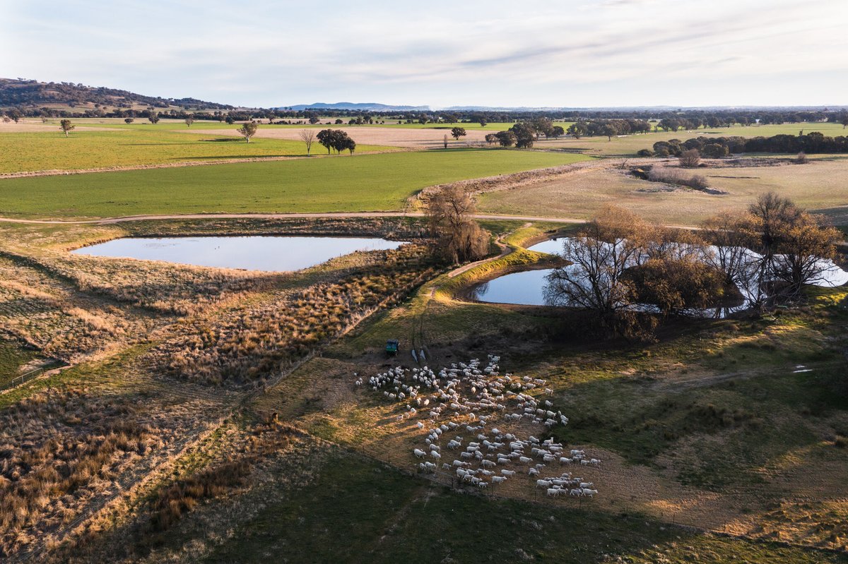 Debt funding plays a pivotal role in succession planning for Australian farm businesses. Whether it's compensating retiring parents, managing existing liabilities, or facilitating growth, sustainable debt structures are essential.

Full article here: bit.ly/3GA0zij