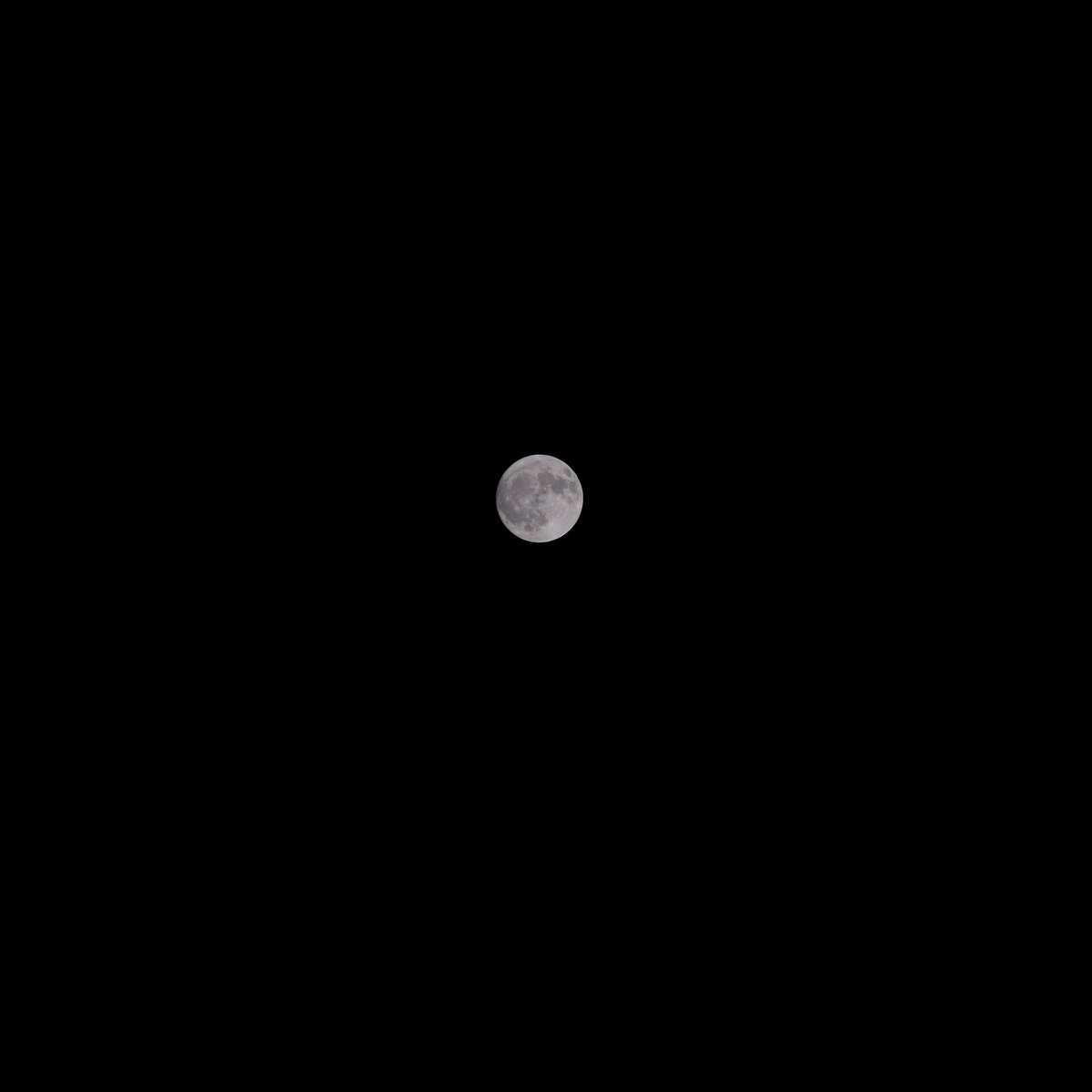 Scoop (@thebionicscoop) on Twitter photo “At night when the stars light up my room
I sit by myself…”
<a href="/FujifilmX_US/">FUJIFILM X/GFX USA</a> XT3 x XF 50-140 “At night when the stars light up my room
I sit by myself…”
<a href="/FujifilmX_US/">FUJIFILM X/GFX USA</a> XT3 x XF 50-140