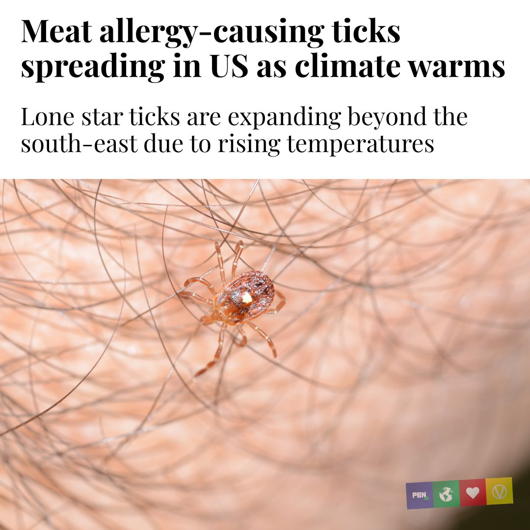 A species of tick linked to a rare red meat allergy is rapidly expanding its range across the United States, raising concerns among health experts. Lone star ticks, native to the southeastern U.S., are now being reported as far north as Maine and as far west as the Midwest — a