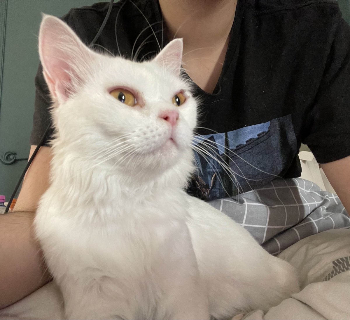 i need her to get fatter