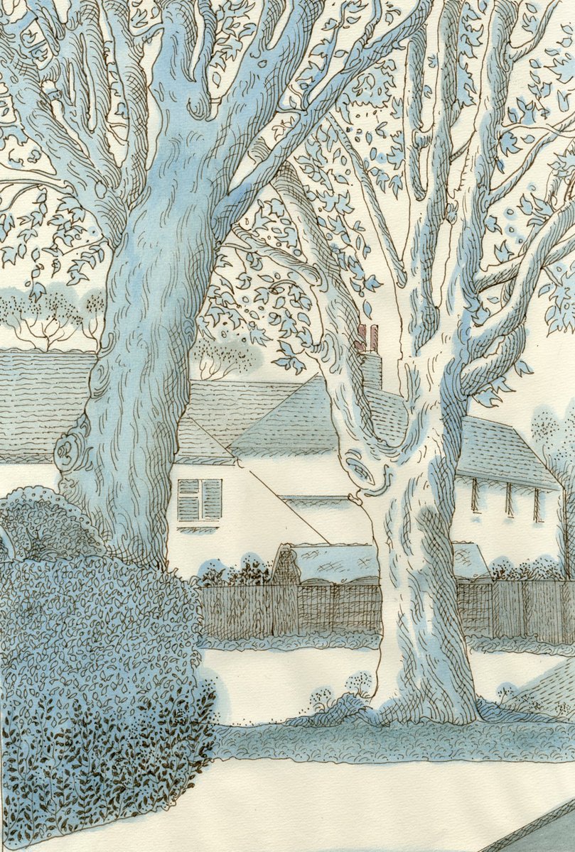 Ian Archie Beck tweet media