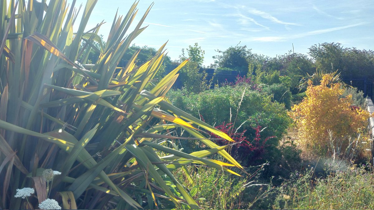 Taking a moment to appreciate the awesome beauty of nature in this glorious sunny weather.