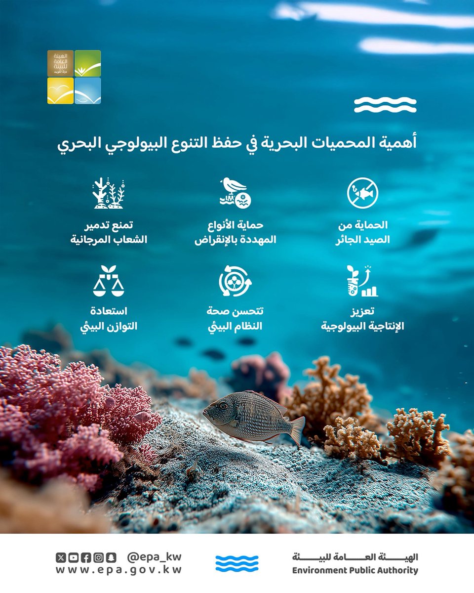 توفر المحميات ملاذاً آمناً للأنواع البحرية من الضغوط 
مثل:
- الصيد الجائر 
- التلوث 
- تدمير الشعاب المرجانية 
- تساعد على منع الأنواع المهددة بالإنقراض
- تعزيز الإنتاجية البيولوجية داخل المحميات حيث تزداد أعداد الكائنات وتنوعها 
- تتحسن صحة النظام البيئي 
- استعادة التوازن