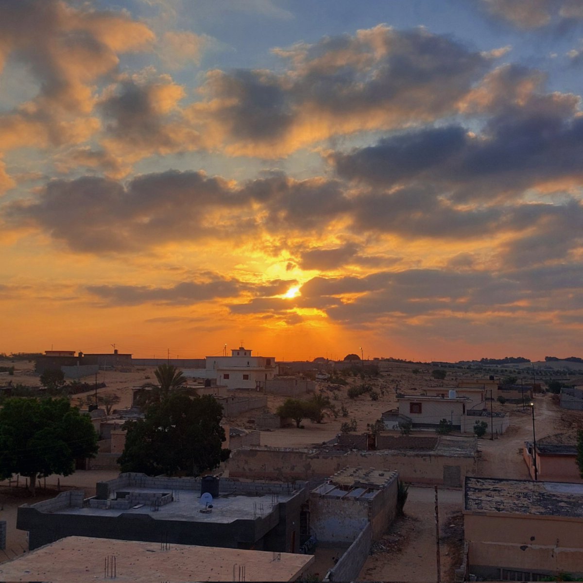 أي مشاكل عندي بتختفي لما أصحى أشرب كوباية الشاي على المنظر ده