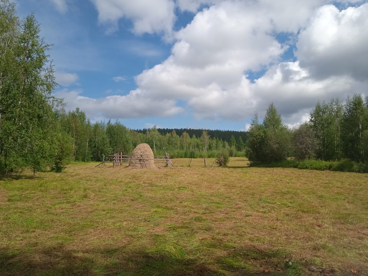 ElskerIo's tweet image. I'm heading to the haymaking and will be very busy until the end of august, but I'll try to draw in my free time and post here °v°