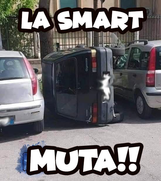 Pecoro Nero ®©™ tweet media