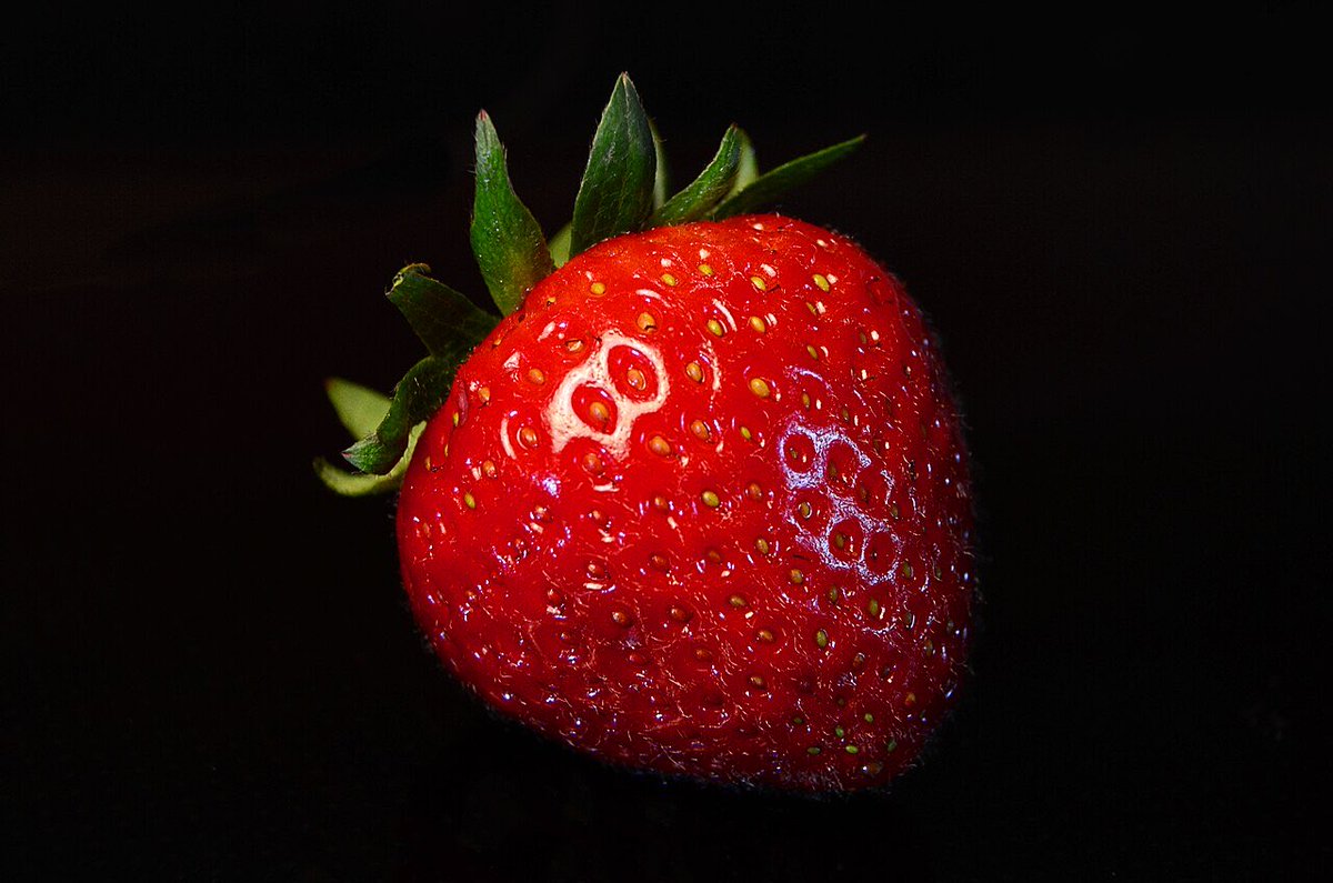 Rolling_Fresas's tweet photo. ¿Sabías que la fresa pertenece al género denominado Fragaria dentro de las plantas rastreras estoloníferas? #Fresa #clasificación #género #Fragaria https://t.co/wG5z6A1dYV