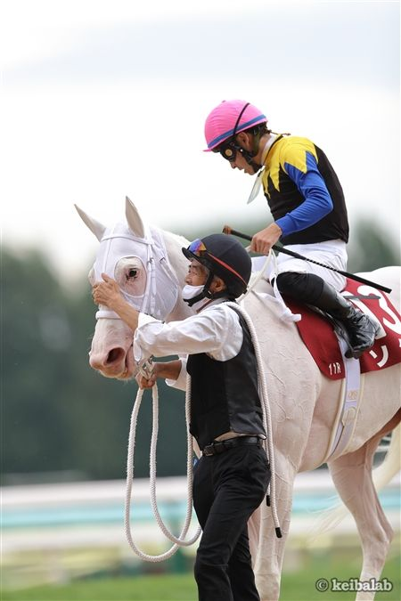 【純白の運命】
なおソダシのデビュー戦は2020年7月12日の函館5Rでした。

妹のマルガのデビュー戦は2025年7月12日の函館5R。まさに姉が通った道をなぞるようなデビューとなります。
#マルガ #武豊 #ソダシ 
keibalab.jp/db/horse/20231…