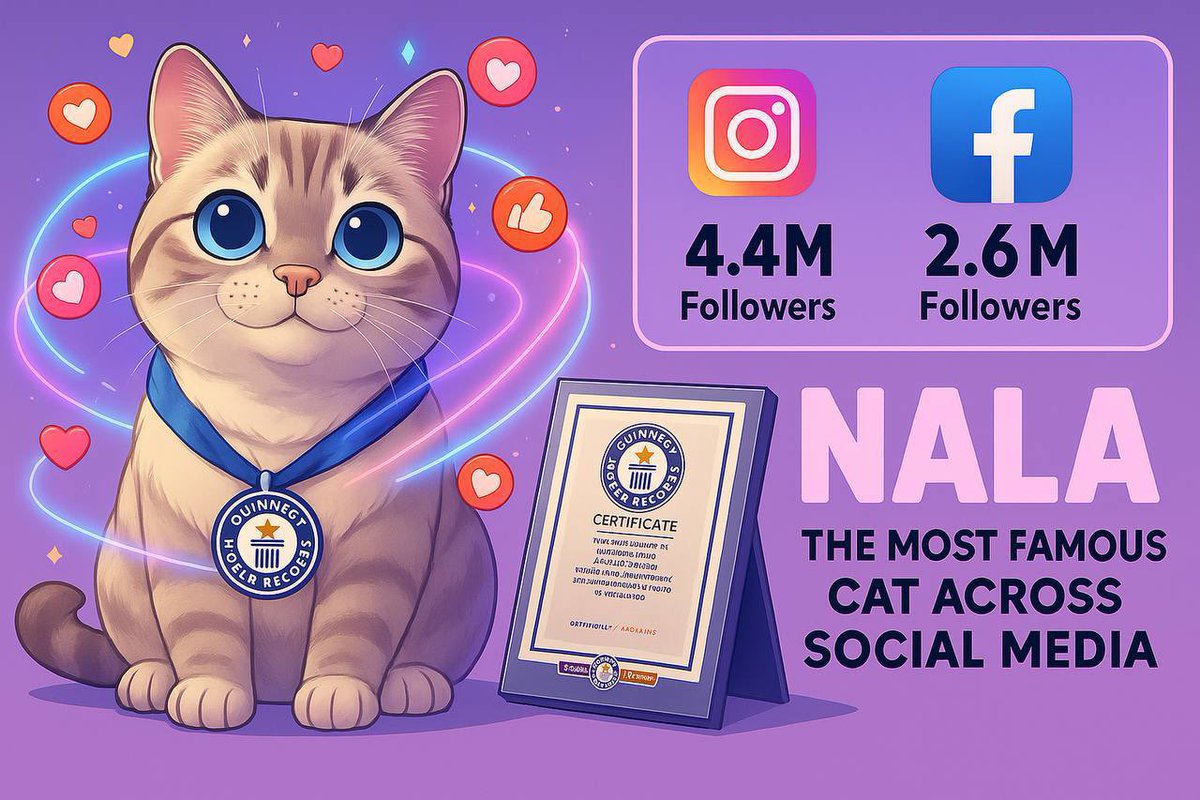 TatesJoshu36265's tweet photo. @WatcherOracle No hype needed.
$NALA speaks with chart and volume 📢📊
CT’s next obsession just launched.
CA:
0xb74f399aac8335e44a50ffb8f7ece74b9db8c30e
@nalaethcoin

#NALA #ETH #CryptoRaid #Next100x https://t.co/y1lDKqYyh0