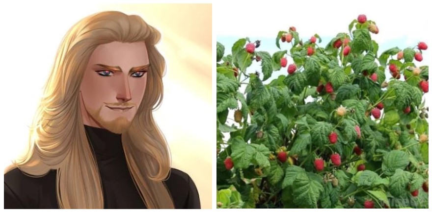 Юрий - малина
Притворяется симпатичной и сладенькой, но ты помнишь тот самый привкус, правда? Собирай осторожно, рядом частенько трется крапива.
>>