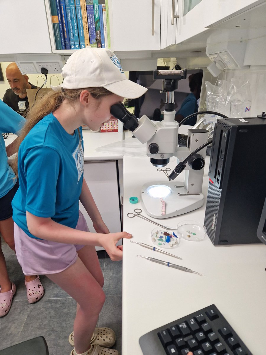 Thornleigh MFL (@tsc_mfl_dep) on Twitter photo More lab work from Day 3 <a href="/thornleigh/">Thornleigh</a> <a href="/NautilusGib/">The Nautilus Project</a> <a href="/TSC_SixthForm/">Thornleigh Sixth Form</a> <a href="/TuringScheme_UK/">Turing Scheme UK</a> More lab work from Day 3 <a href="/thornleigh/">Thornleigh</a> <a href="/NautilusGib/">The Nautilus Project</a> <a href="/TSC_SixthForm/">Thornleigh Sixth Form</a> <a href="/TuringScheme_UK/">Turing Scheme UK</a>