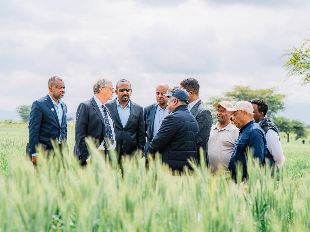 Muktar Mohamed Ware (@mukmohware2121) on Twitter photo Join global leaders in Addis Ababa for the 2nd UN Food Systems Summit Stocktake (UNFSS+4), July 27–29, 2025! Co-hosted by #Ethiopia & #Italy with <a href="/UN/">United Nations</a>, the summit features rural field visits and high-level dialogue to accelerate action for sustainable, resilient food systems. Join global leaders in Addis Ababa for the 2nd UN Food Systems Summit Stocktake (UNFSS+4), July 27–29, 2025! Co-hosted by #Ethiopia & #Italy with <a href="/UN/">United Nations</a>, the summit features rural field visits and high-level dialogue to accelerate action for sustainable, resilient food systems.