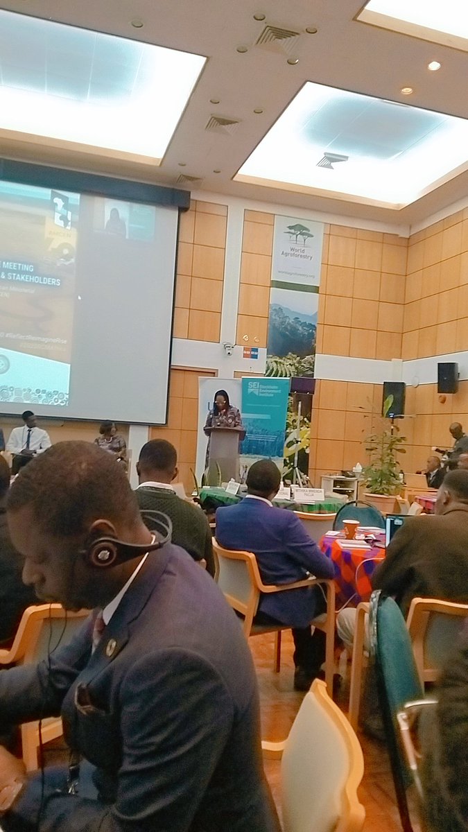 GreenBotswana's tweet photo. @UNEP Regional Consultative Meeting #unep #africarisingisnocliche https://t.co/4TNSdA8XJx