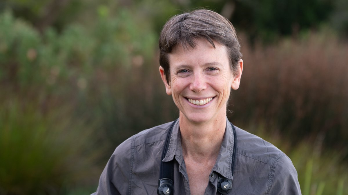 UCT_Research's tweet image. ICYMI: @UCT_news Prof Claire Spottiswoode has been elected to the prestigious Fellowship of the @royalsociety — part of over 90 leading researchers from around the world in this year’s cohort. #UCTResearchExcellence