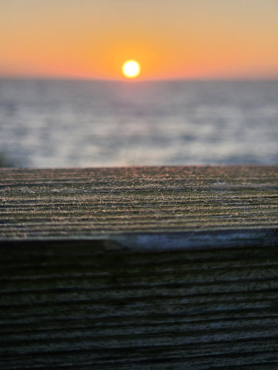 Levantarse por la mañana y disfrutar de esto no tiene precio