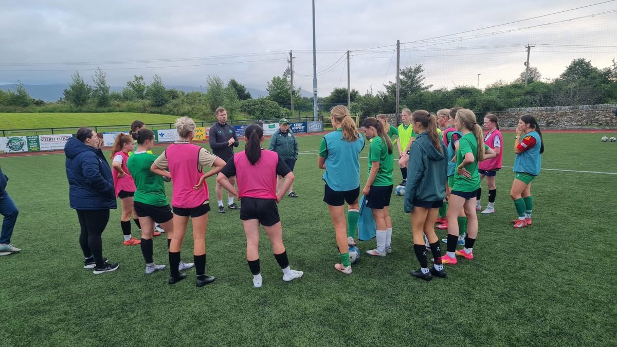 Tom Elmes tweet media