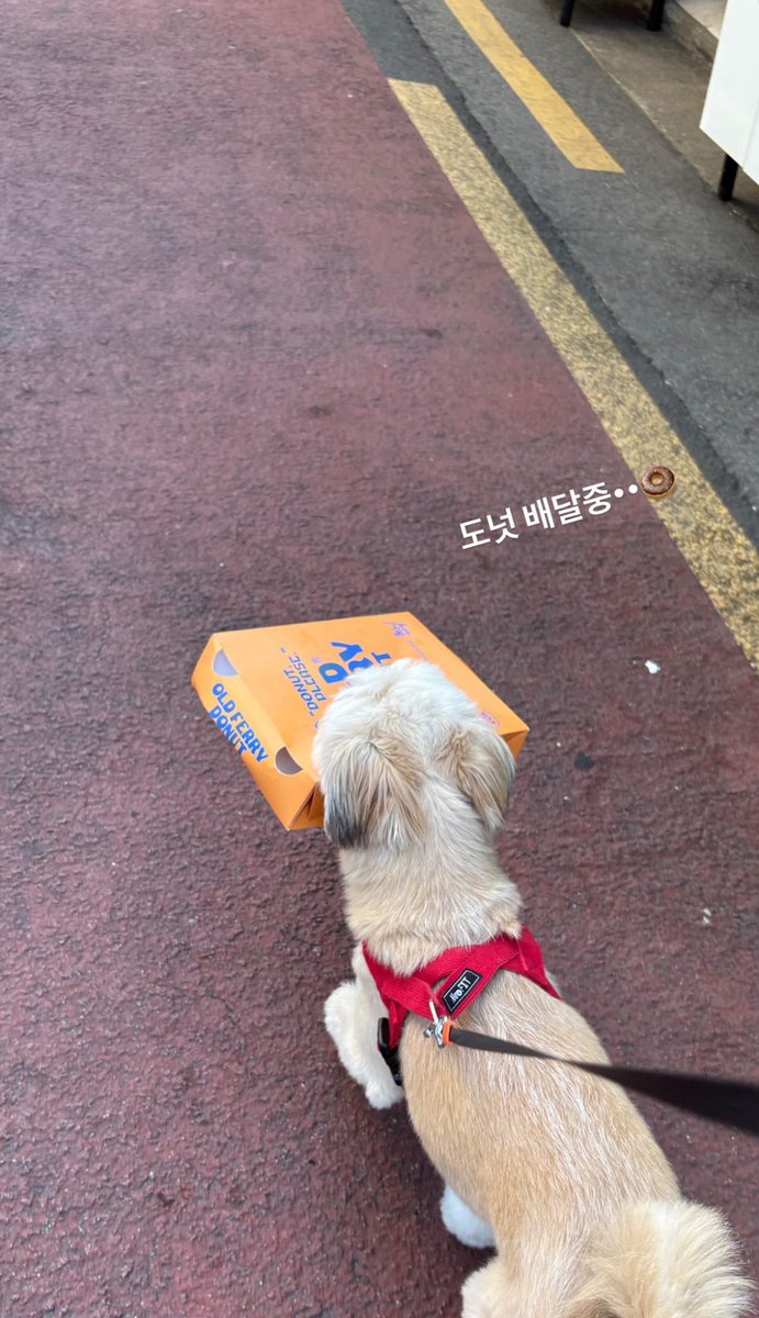 만복이 배달도 할 줄 알어,,, 나보다 낫다 ㅜ