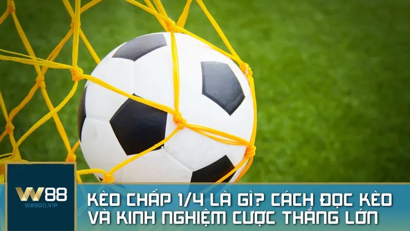 Khám phá Thế giới Giải trí Trực tuyến đỉnh cao cùng W88GOVIP