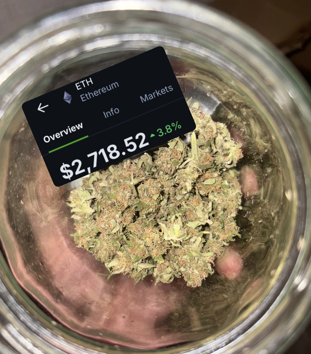 0xMase's tweet image. GM GM Web3! 🏚️
Check what I found into my jar this morning.
Green always seeks more green I suppose 😂
