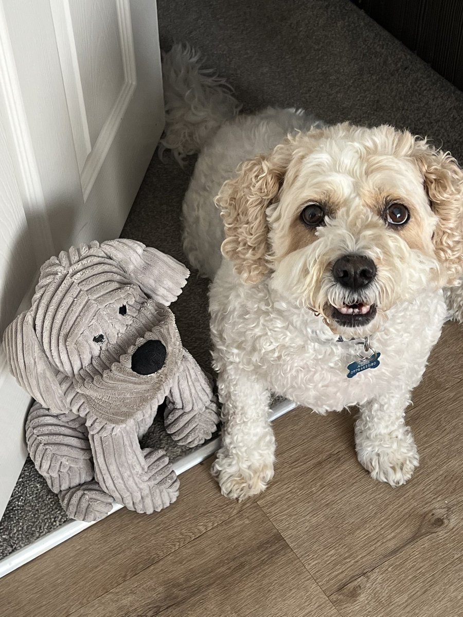 One of them keeps barking at the door!! Not sure which one though ….