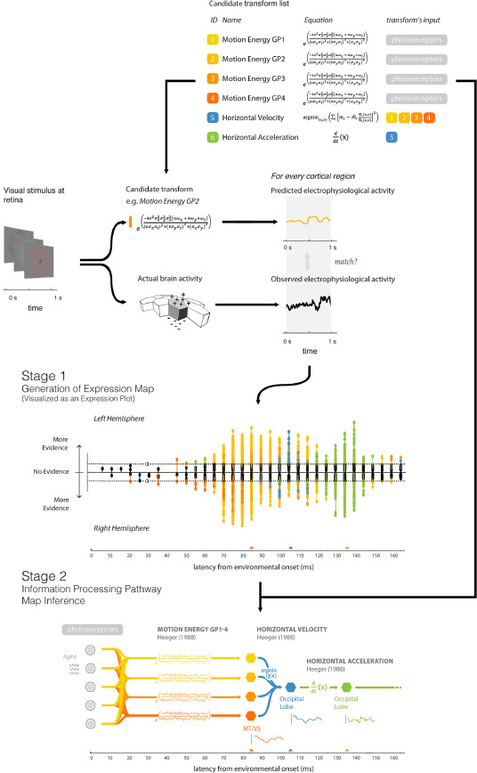 mrccbu's tweet image. Researchers present a scalable theory-free framework to describe the maths of neural processing: doi.org/10.1016/j.neur…