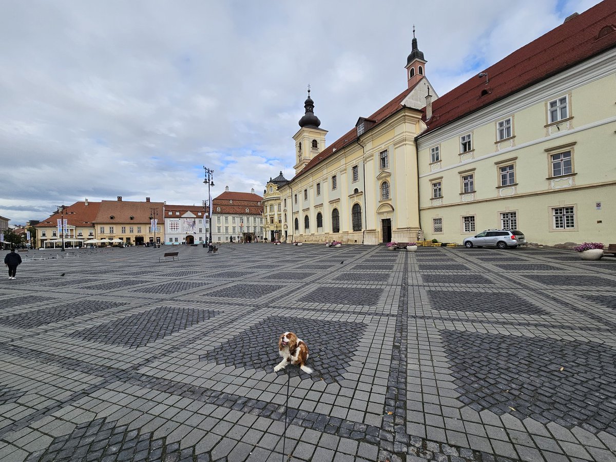 Morning walkies in Sibiu the morning.  It's a beautiful city in Romania with lots of niceness.. 

rjontour.com/sibiu-attracti… #travel
#Romania #travelblog