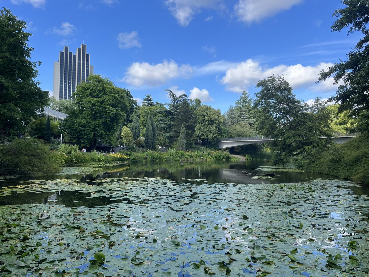 ihategrreeneggs's tweet photo. There was a moment there where it was really pretty tho I got double deceived the park was nice https://t.co/m9vbyR2YNa