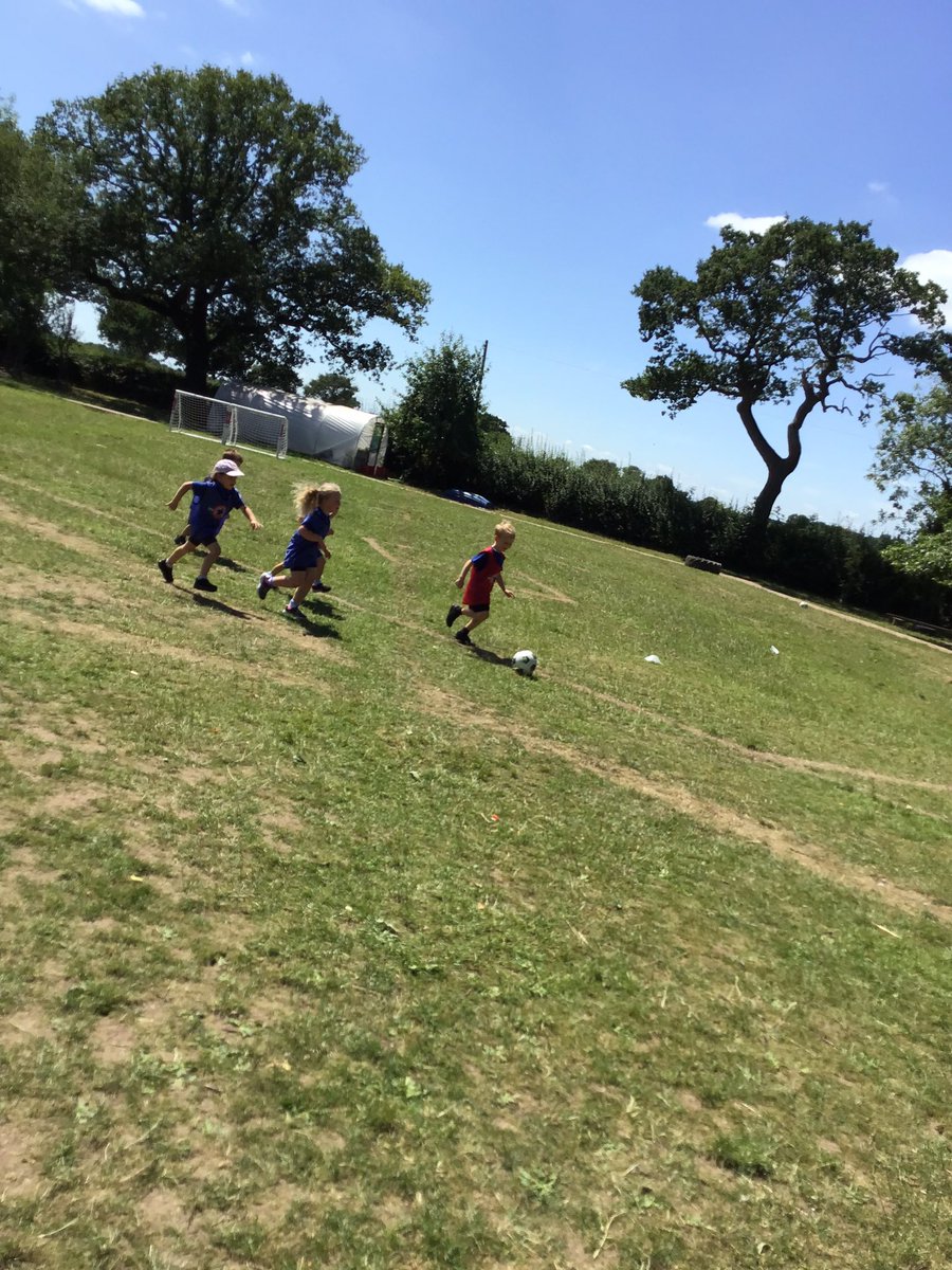 Team Acorn tweet media