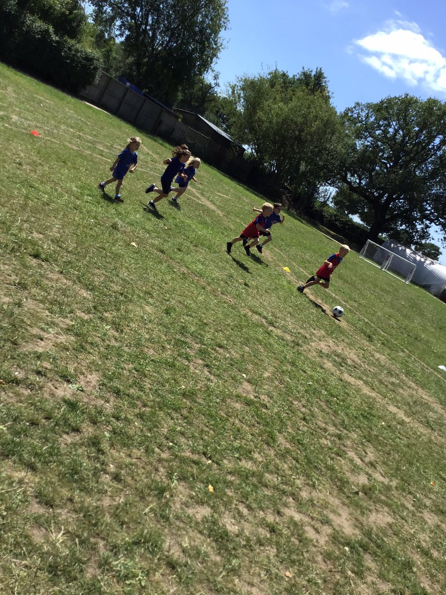 Team Acorn tweet media