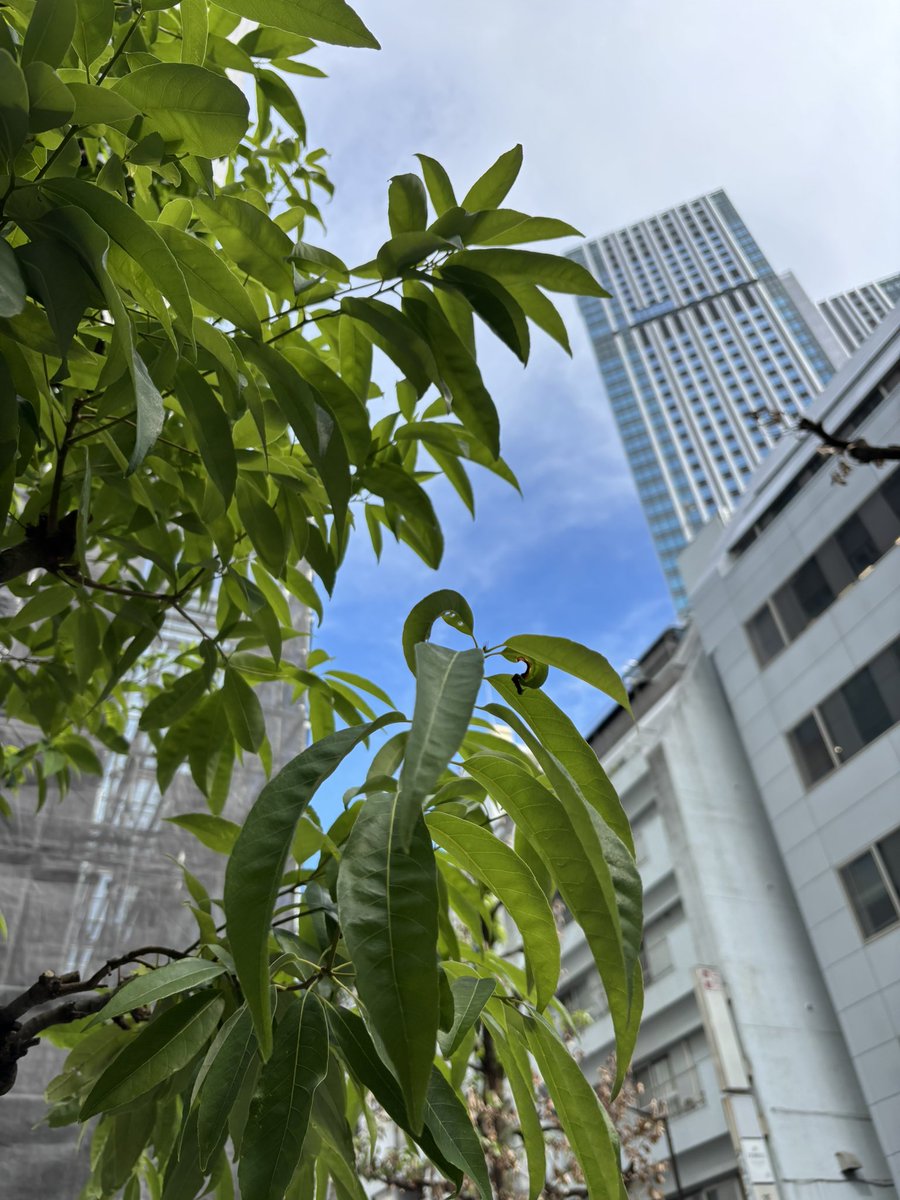 今日も暑いですね
空は青い！
とポストしようとしたら雨降ってきました☂️
夏だねー
今日のオーディションも楽しく受けさせていただきました。
オーディション受けられるって幸せだね
