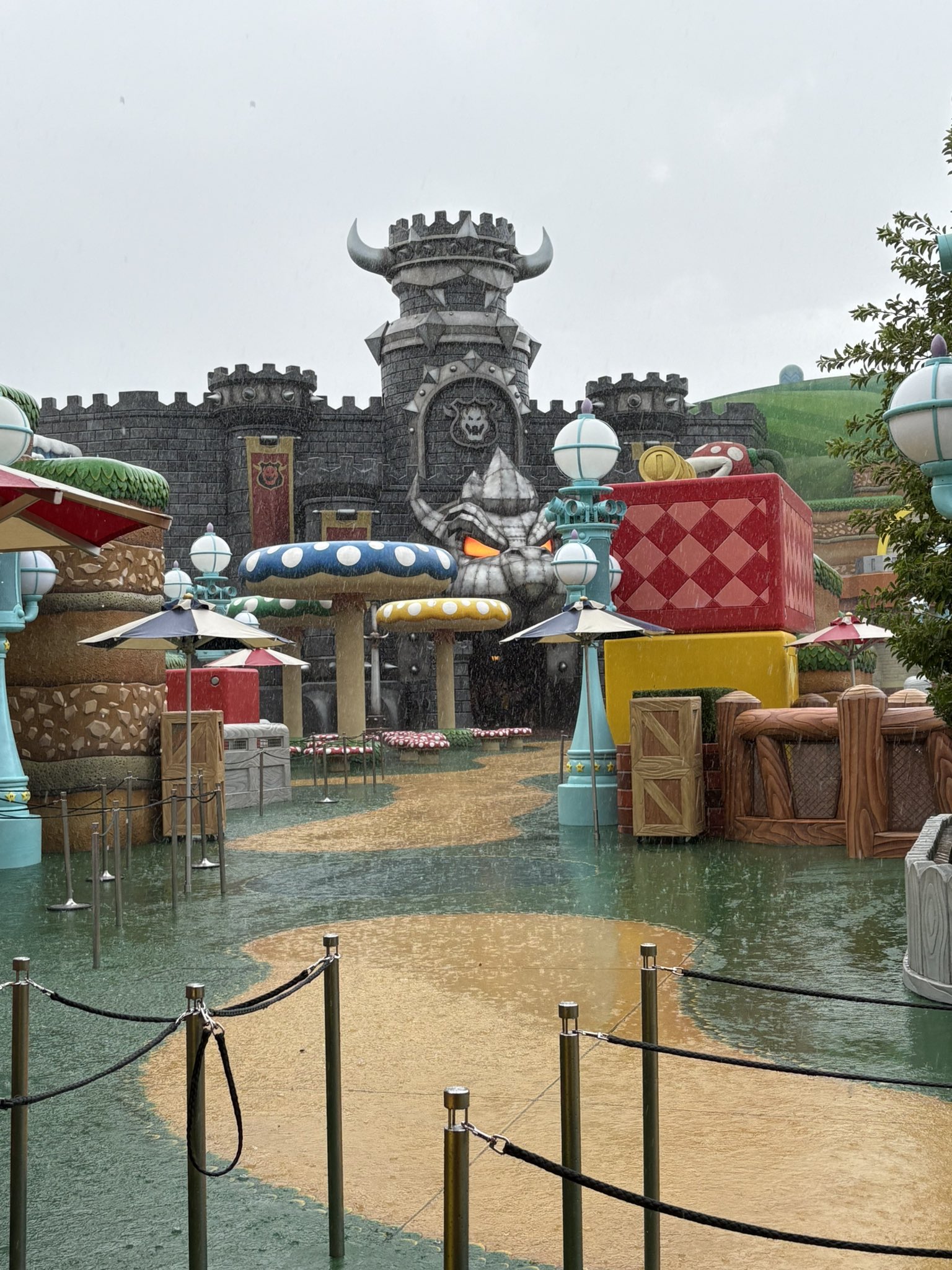 つぼい𝄇 (@tsuboiboiboi) / X