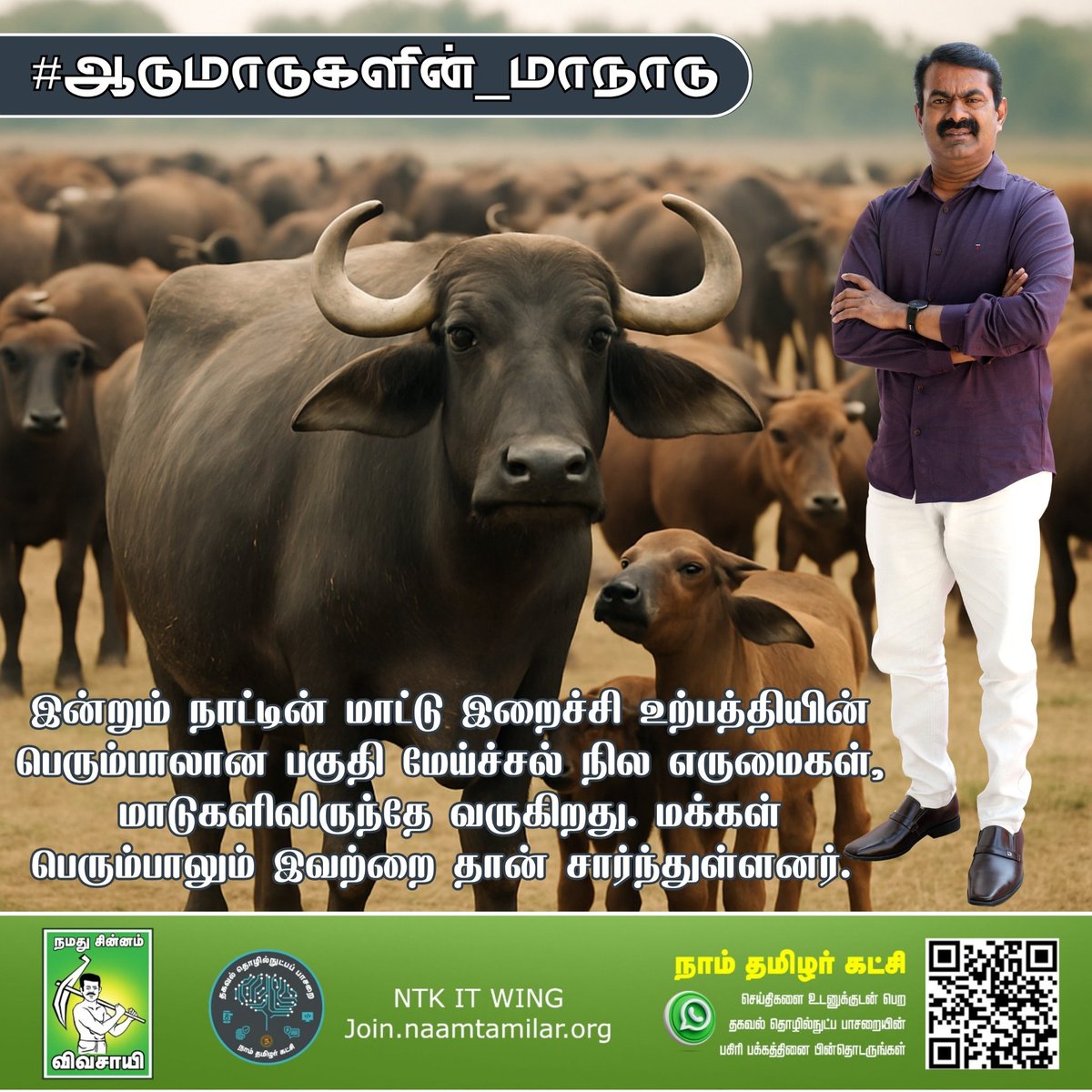 இன்றும் நாட்டின் மாட்டு இறைச்சி உற்பத்தியின் பெரும்பாலான பகுதி மேய்ச்சல் நில எருமைகள், மாடுகளிலிருந்தே வருகிறது! மக்கள் பெரும்பாலும் இவற்றை தான் சார்ந்துள்ளனர்! #ஆடுமாடுகளின்_மாநாடு