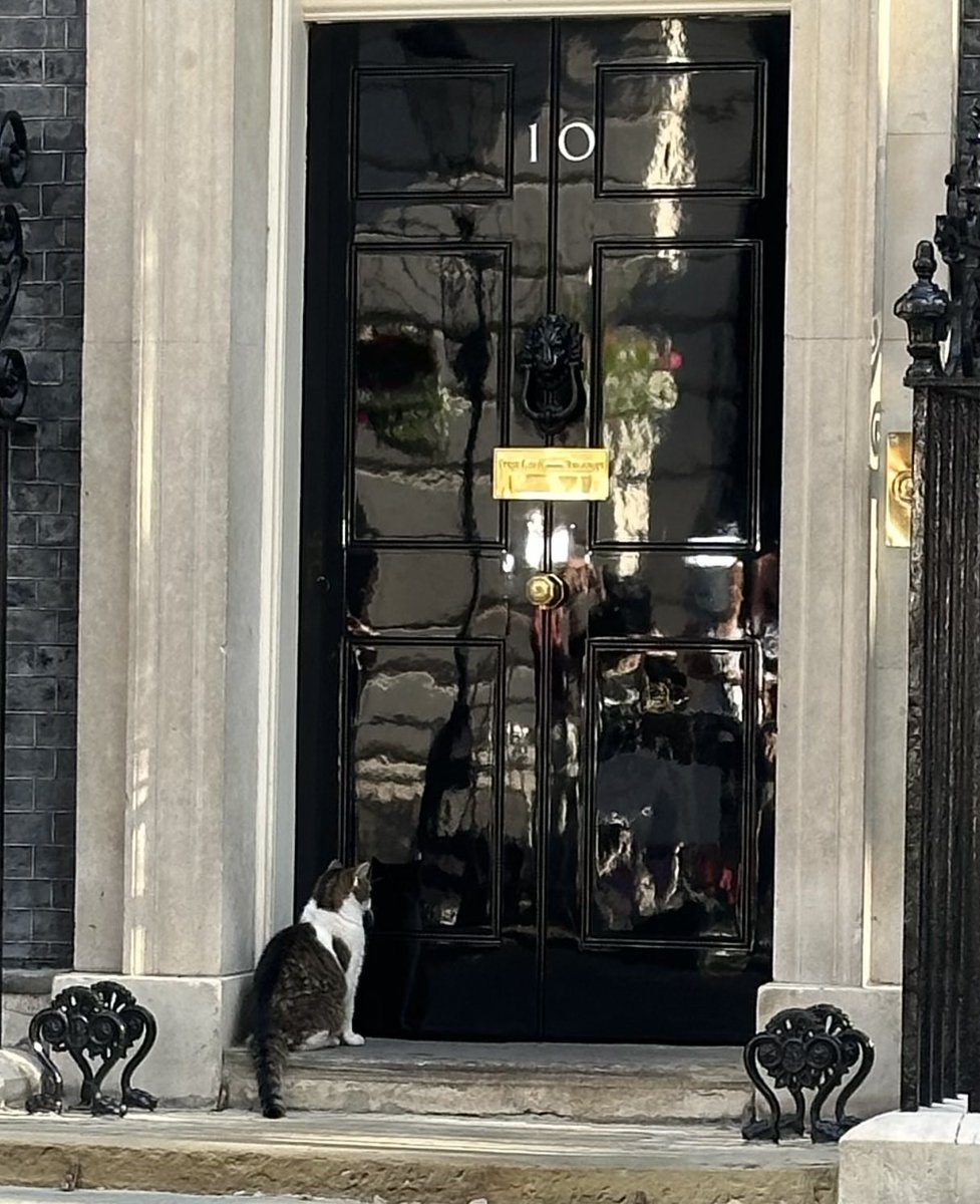 Annita McVeigh (@annitabbc) on Twitter photo Join me from Downing Street today for coverage of the 37th UK-France Summit, the business end of the #StateVisit <a href="/BBCWorld/">BBC News (World)</a> <a href="/BBCNews/">BBC News (UK)</a> + Larry <a href="/Number10cat/">Larry the Cat</a> of course, Join me from Downing Street today for coverage of the 37th UK-France Summit, the business end of the #StateVisit <a href="/BBCWorld/">BBC News (World)</a> <a href="/BBCNews/">BBC News (UK)</a> + Larry <a href="/Number10cat/">Larry the Cat</a> of course,