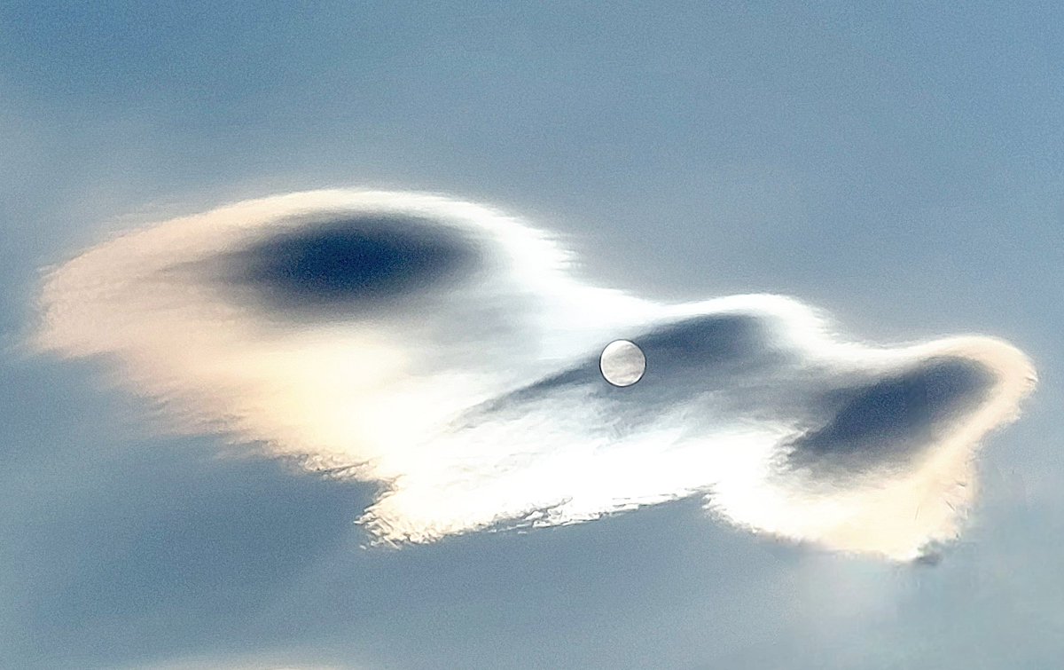 무더운 날씨 건강 잘 챙기세요 🌥