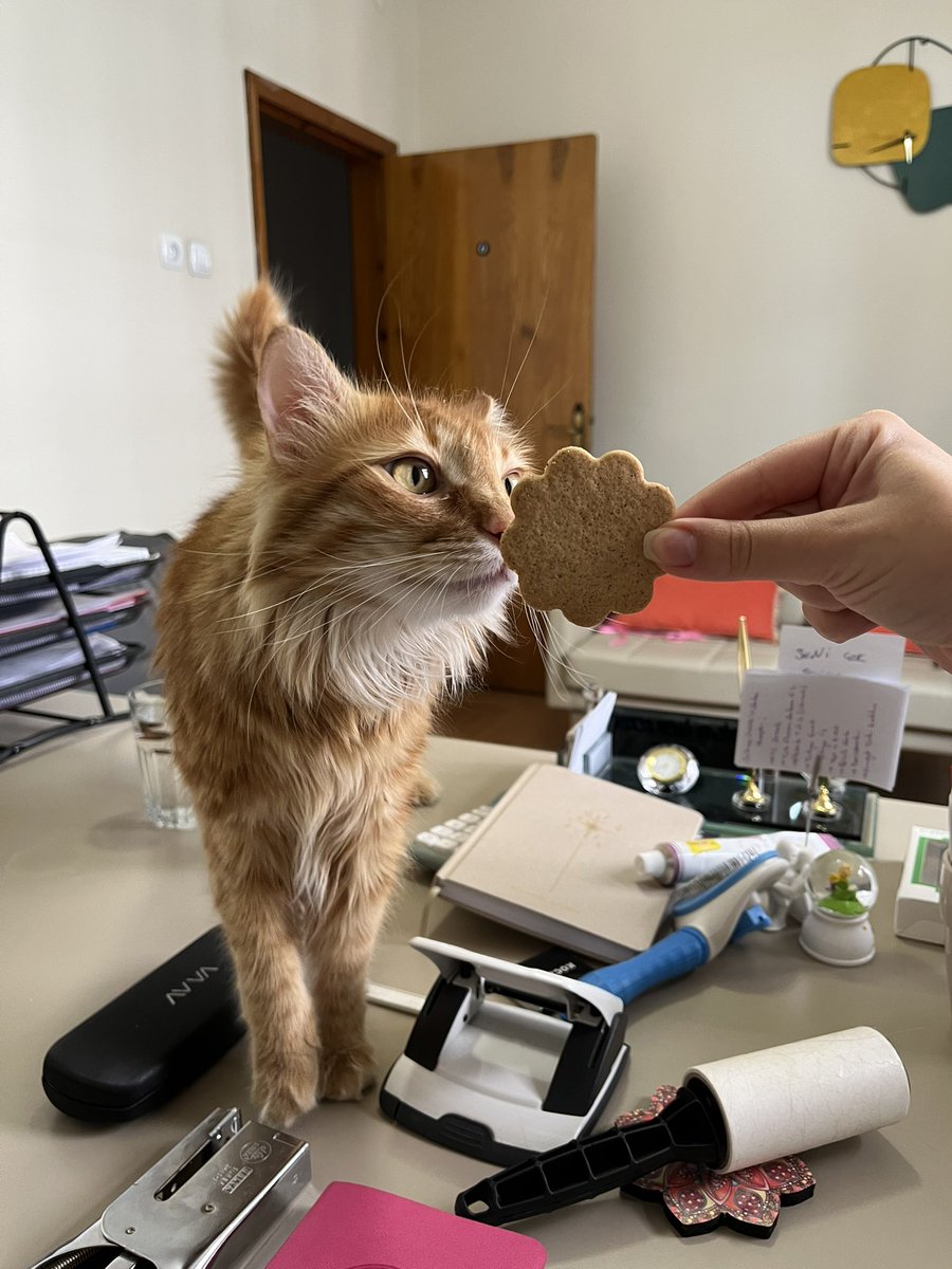 Bu turumçulumu tarçımlı kurabike borçluyun