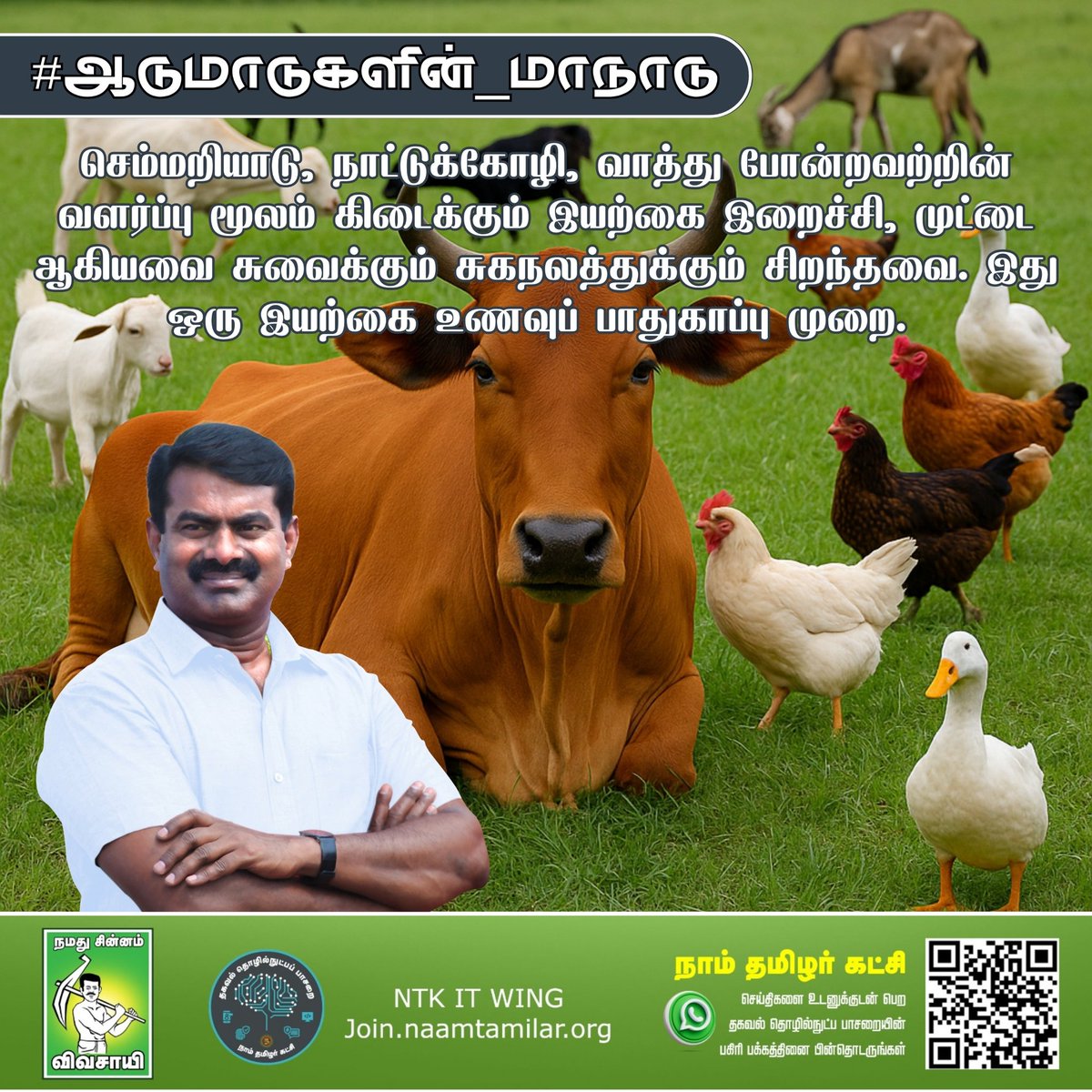 செம்மறியாடு, நாட்டுக்கோழி, வாத்து போன்றவற்றின் வளர்ப்பு மூலம் கிடைக்கும் இயற்கை இறைச்சி, முட்டை ஆகியவை சுவைக்கும் சுகநலத்துக்கும் சிறந்தவை. இது ஒரு இயற்கை உணவுப் பாதுகாப்பு முறை! #ஆடுமாடுகளின்_மாநாடு