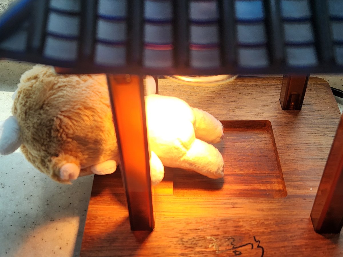 나중에 보니 다리에 뭐가 묻어서 손세정제로 빡빡 지우고 말리는중 😢
#아현아_미안해 #봄꽃아현sp