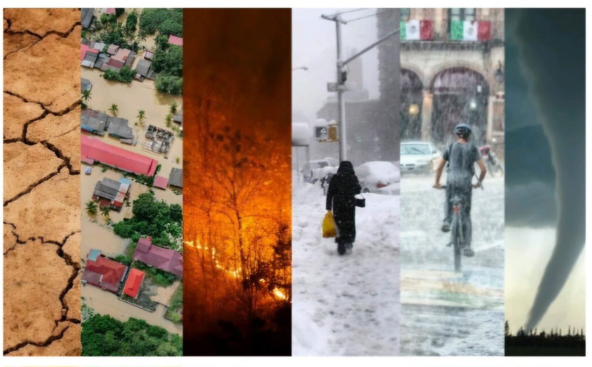 Su Yönetimi Genel Müdürlüğü (@suyonetimi) on Twitter photo 🌍 Sıcak hava dalgaları, taşkınlar, kuraklıklar, yangınlar...
İklim krizi kapımızda değil, içeride!
Doğa alarm veriyor, geleceğimiz tehlikede.
#İklimİçinHareketeGeçmek hepimizin sorumluluğu.
<a href="/TCTarim/">T.C. Tarım ve Orman Bakanlığı</a> <a href="/bekirgizligider/">Ebubekir GİZLİGİDER</a> <a href="/AfireSever/">Afire Sever</a> 🌍 Sıcak hava dalgaları, taşkınlar, kuraklıklar, yangınlar...
İklim krizi kapımızda değil, içeride!
Doğa alarm veriyor, geleceğimiz tehlikede.
#İklimİçinHareketeGeçmek hepimizin sorumluluğu.
<a href="/TCTarim/">T.C. Tarım ve Orman Bakanlığı</a> <a href="/bekirgizligider/">Ebubekir GİZLİGİDER</a> <a href="/AfireSever/">Afire Sever</a>