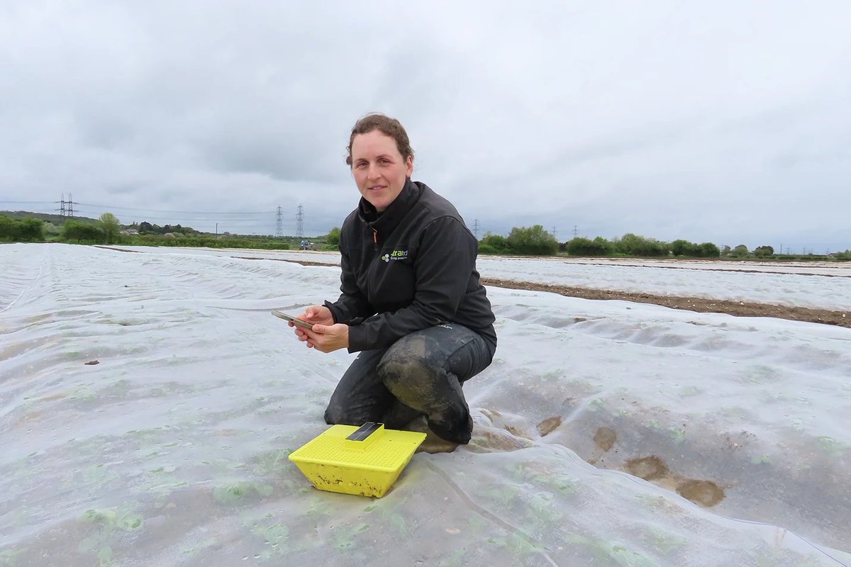 Bayer Crop Science UK tweet media