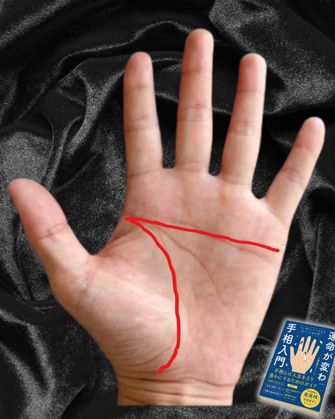 専用のページになります。手相鑑定 手相占い ｜ 「マイナビウーマン」