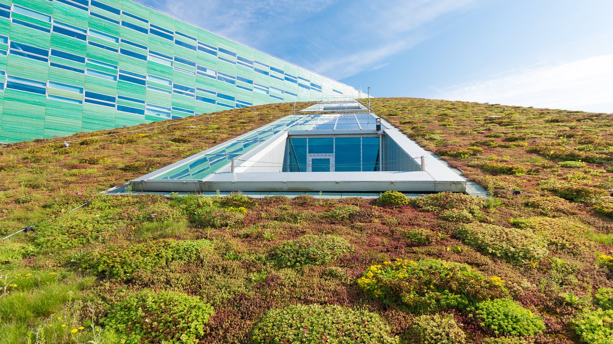 Is your roof ready to go green? 🌿 Learn the 6 signs your home could be a candidate for a green roof in this insightful article. 👉 zurl.co/Vouix

#BUILD #GreenRoof #SustainableLiving