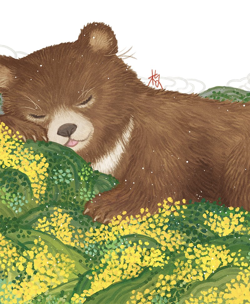 지리산 반달곰 🐻