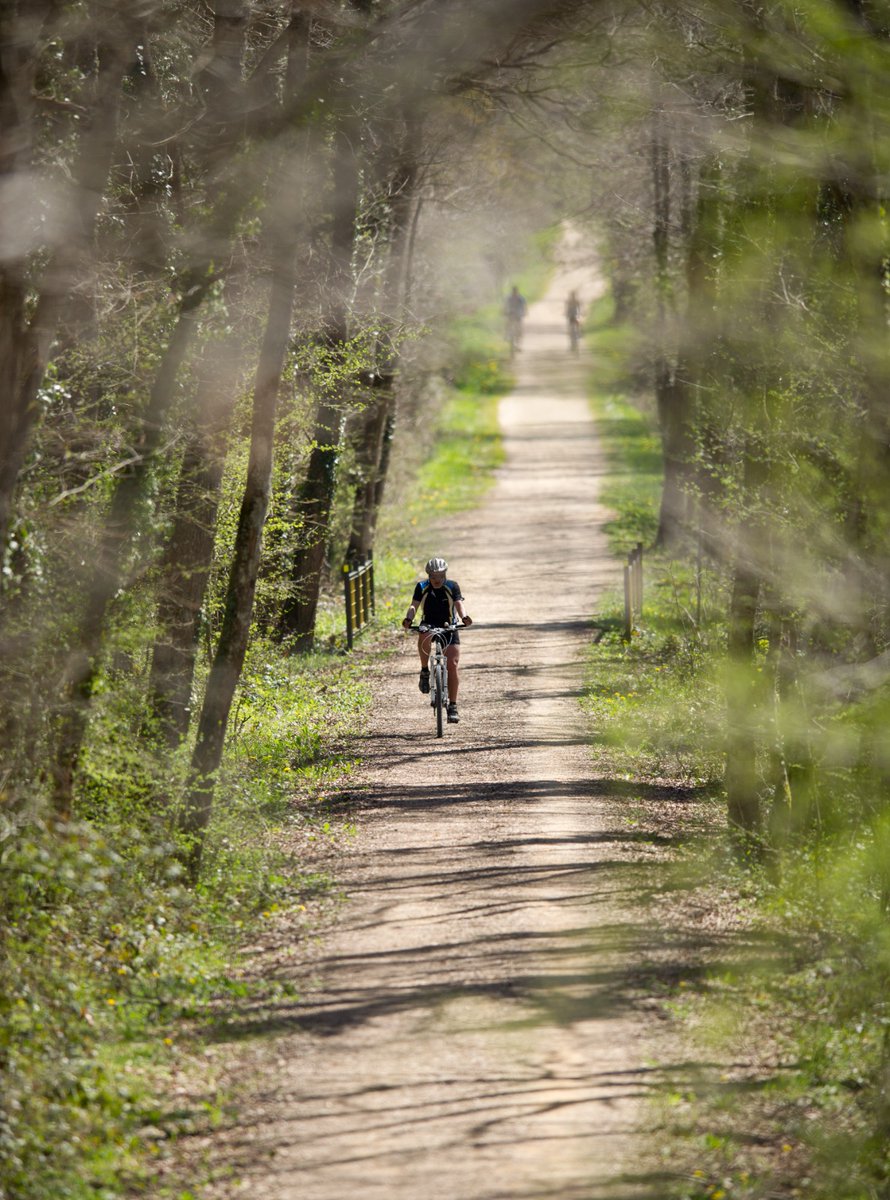 Álava Turismo (@turismoalava) on Twitter photo 🔒 Apúntate este plan: ¡la Gran Ruta Cicloturista por Llanada Alavesa!
🔒 Gorde ezazu plan hau: Arabako Lautadako Ibilbide Zikloturista Handia!
📍<a href="/Lautur1/">ArabakoLautada</a> 🔒 Apúntate este plan: ¡la Gran Ruta Cicloturista por Llanada Alavesa!
🔒 Gorde ezazu plan hau: Arabako Lautadako Ibilbide Zikloturista Handia!
📍<a href="/Lautur1/">ArabakoLautada</a>
