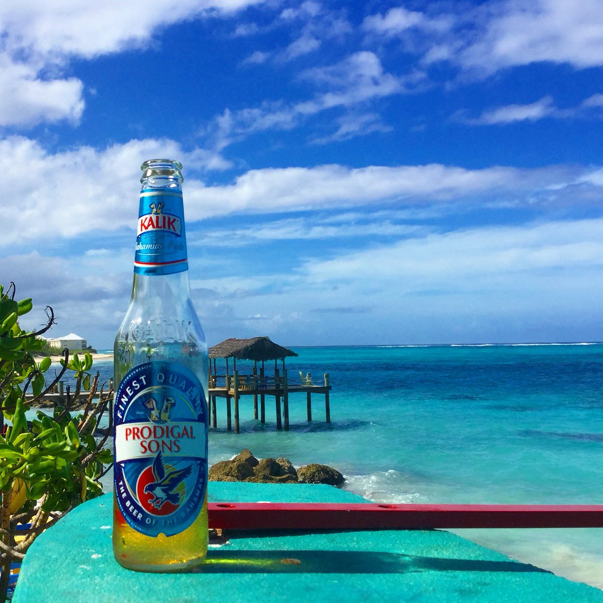 Happy Independence Day to the wonderful islands and peoples of the Bahamas! 🇧🇸 Blessings, peace and prosperity to all. #bahamas #bahamasindependence