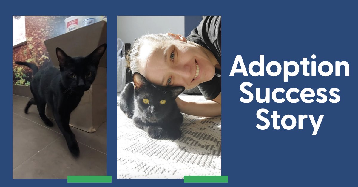 Adoption win! Jenna just brought home her second cat, and we’re so happy to have played a part in their story. Congrats to this growing furry family!
